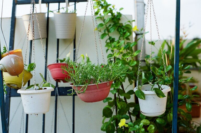 Sfaturi practice pentru organizarea unei grădini urbane pe balcon sau terasă